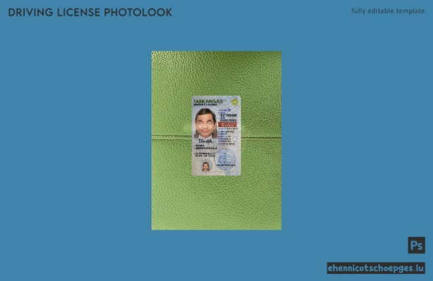USA Arkansas: Beispielvorschau für die Fotoprüfung des Führerscheins unter 21 Jahren